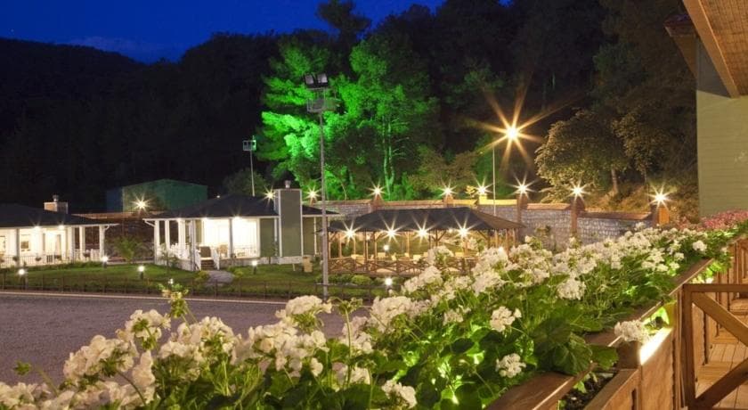 Padok Premium Hotel and Stables-15