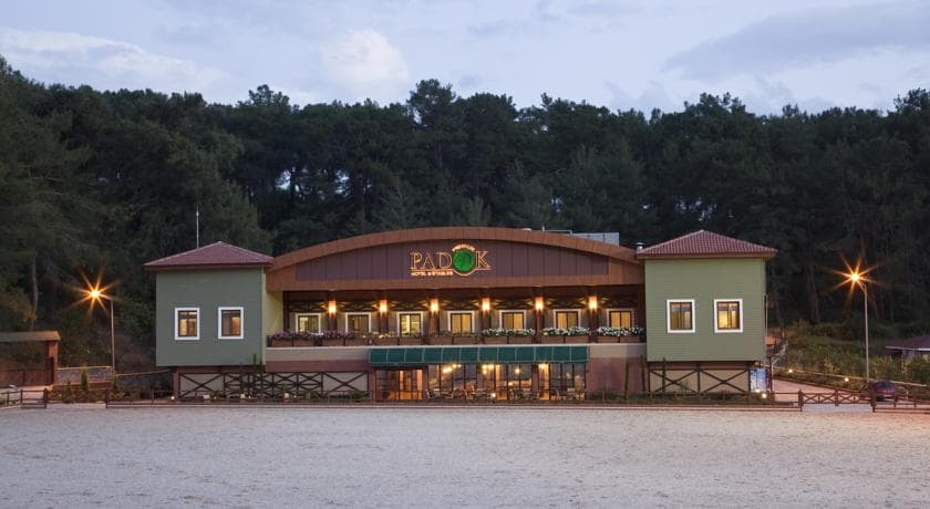 Padok Premium Hotel and Stables-0