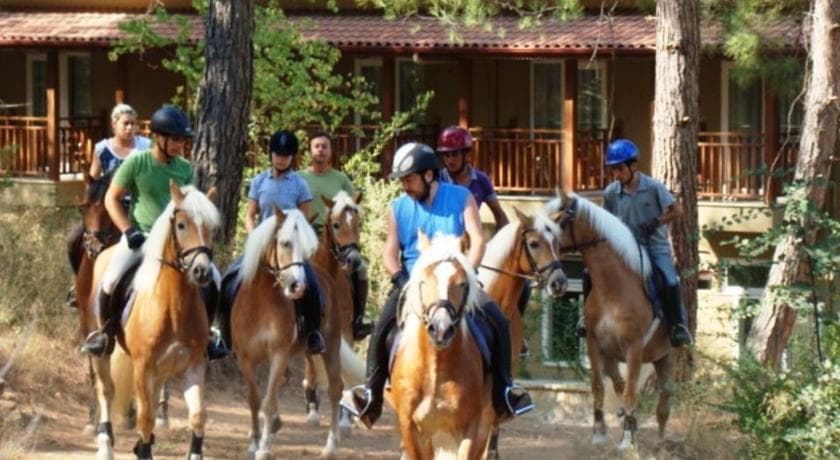 Padok Premium Hotel and Stables-26