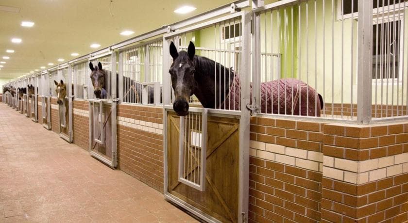 Padok Premium Hotel and Stables-24