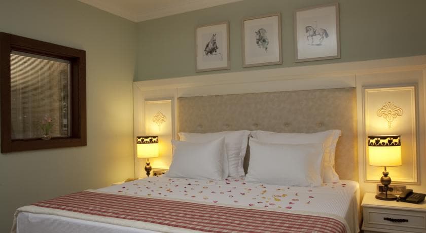 Padok Premium Hotel and Stables-6