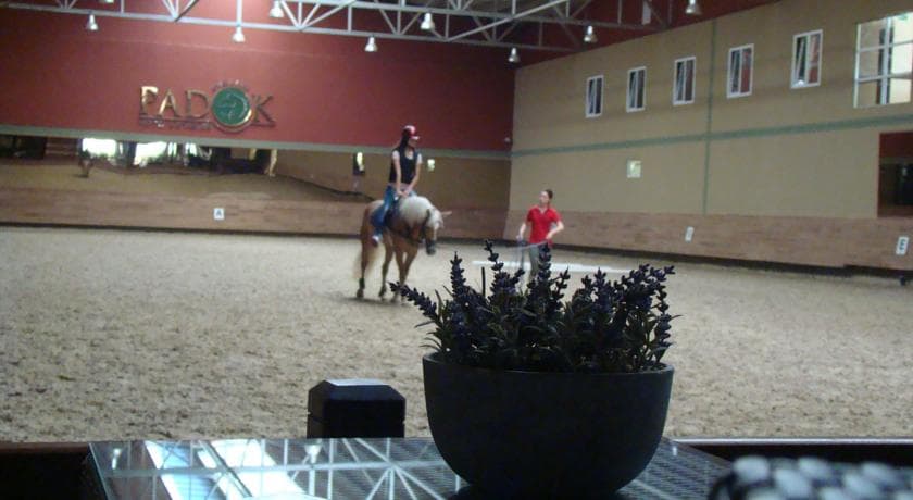 Padok Premium Hotel and Stables-33