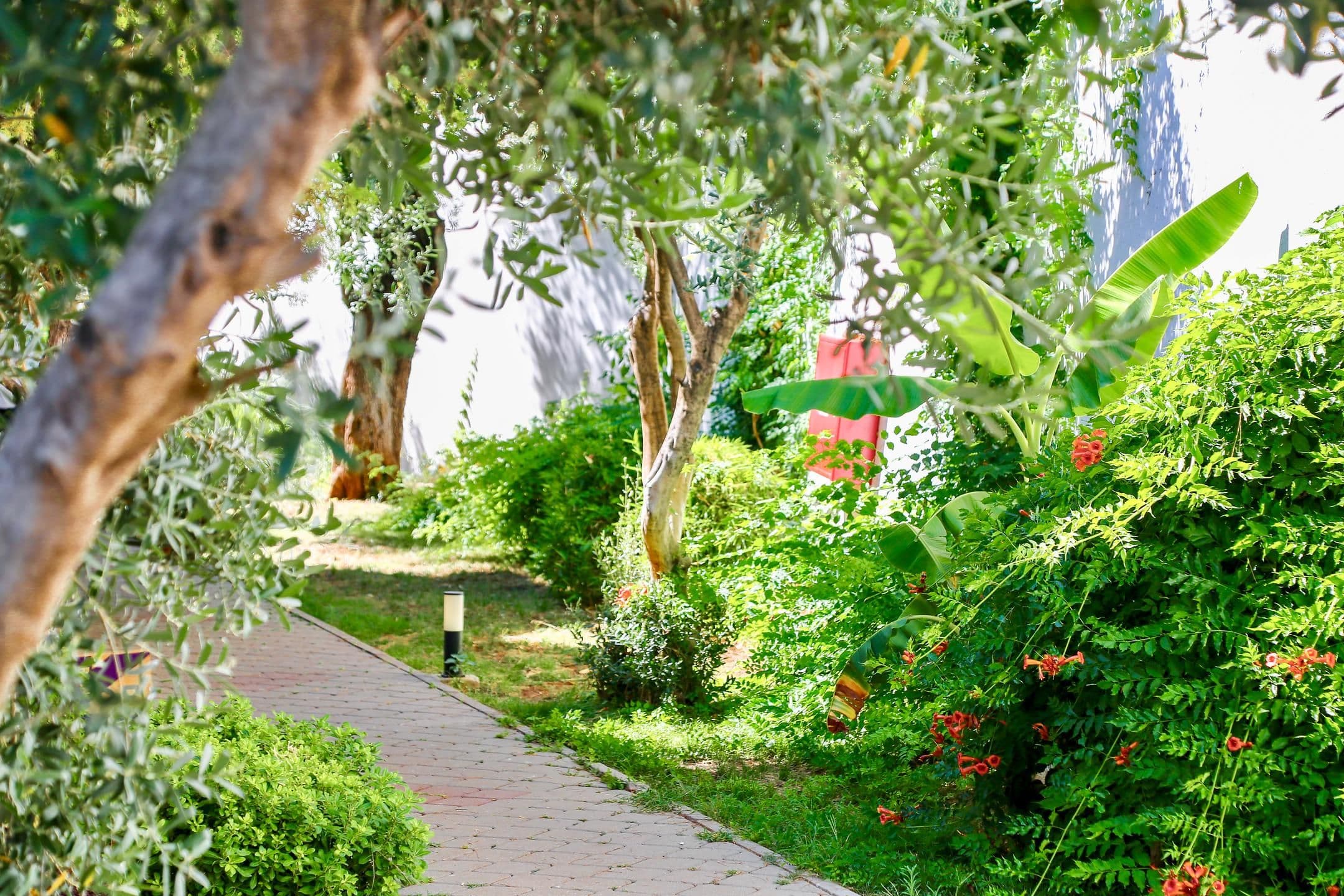 Tropical Deluxe Hotel-119