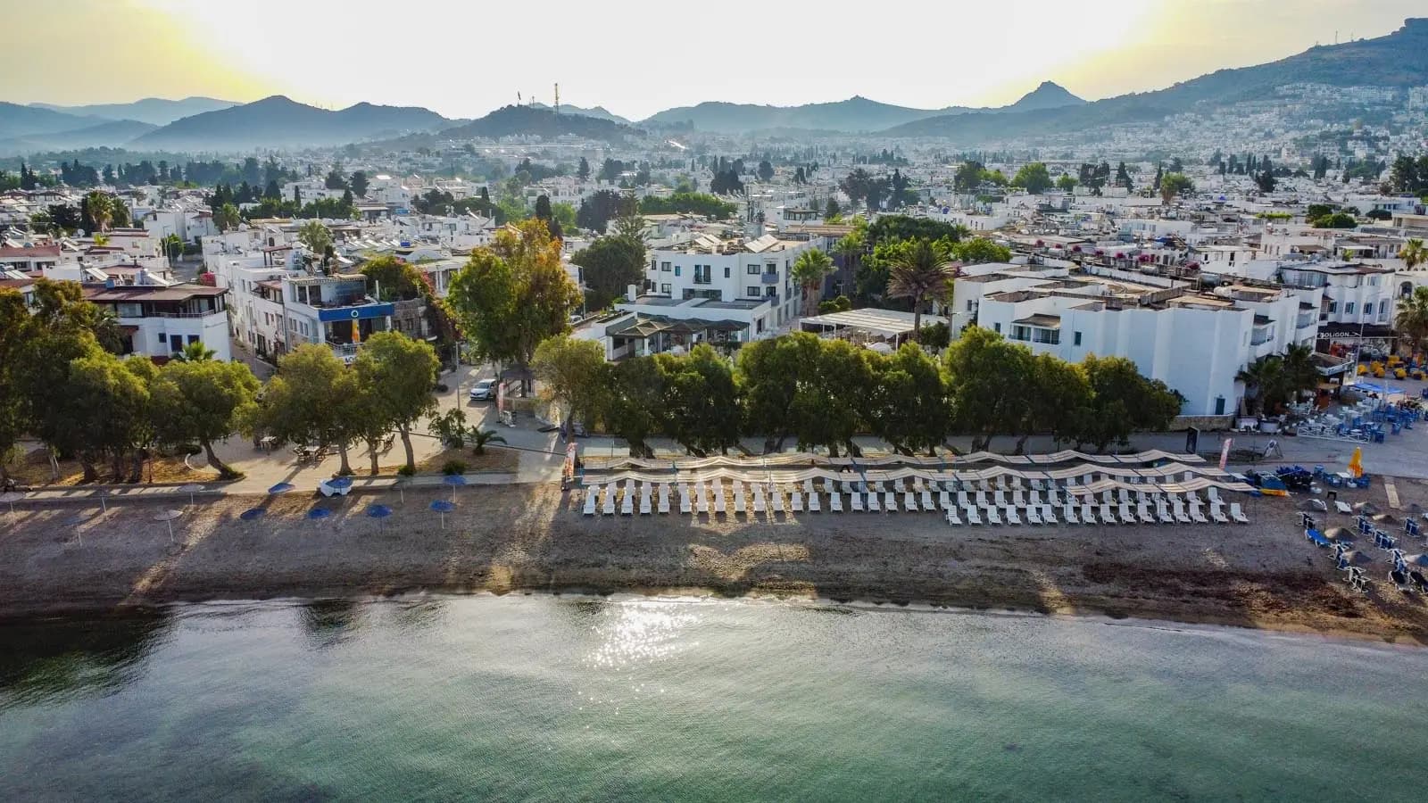 Asterina Hotel -resim-4