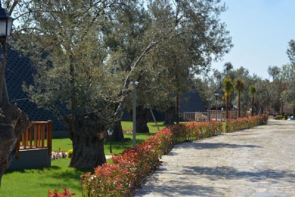 Verde Blu Bungalow Otel-106