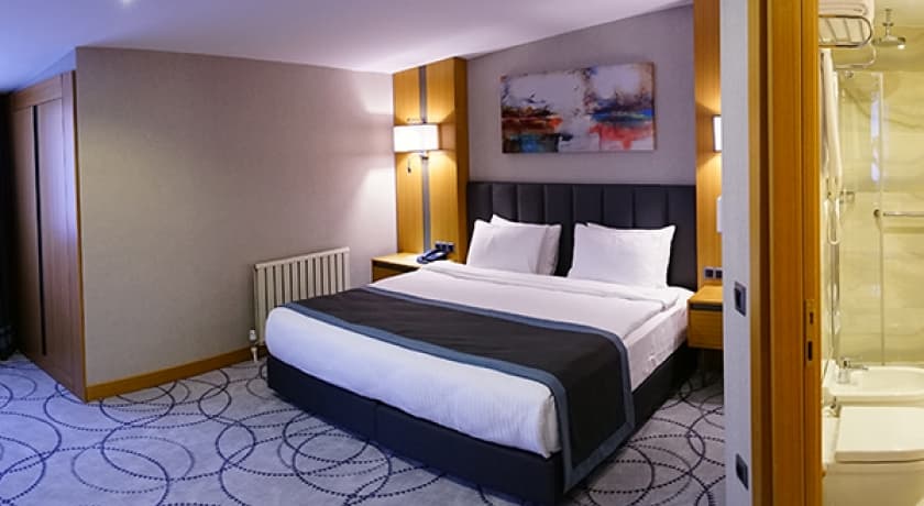 Ramada by Wyndham Bursa Nilüfer-31