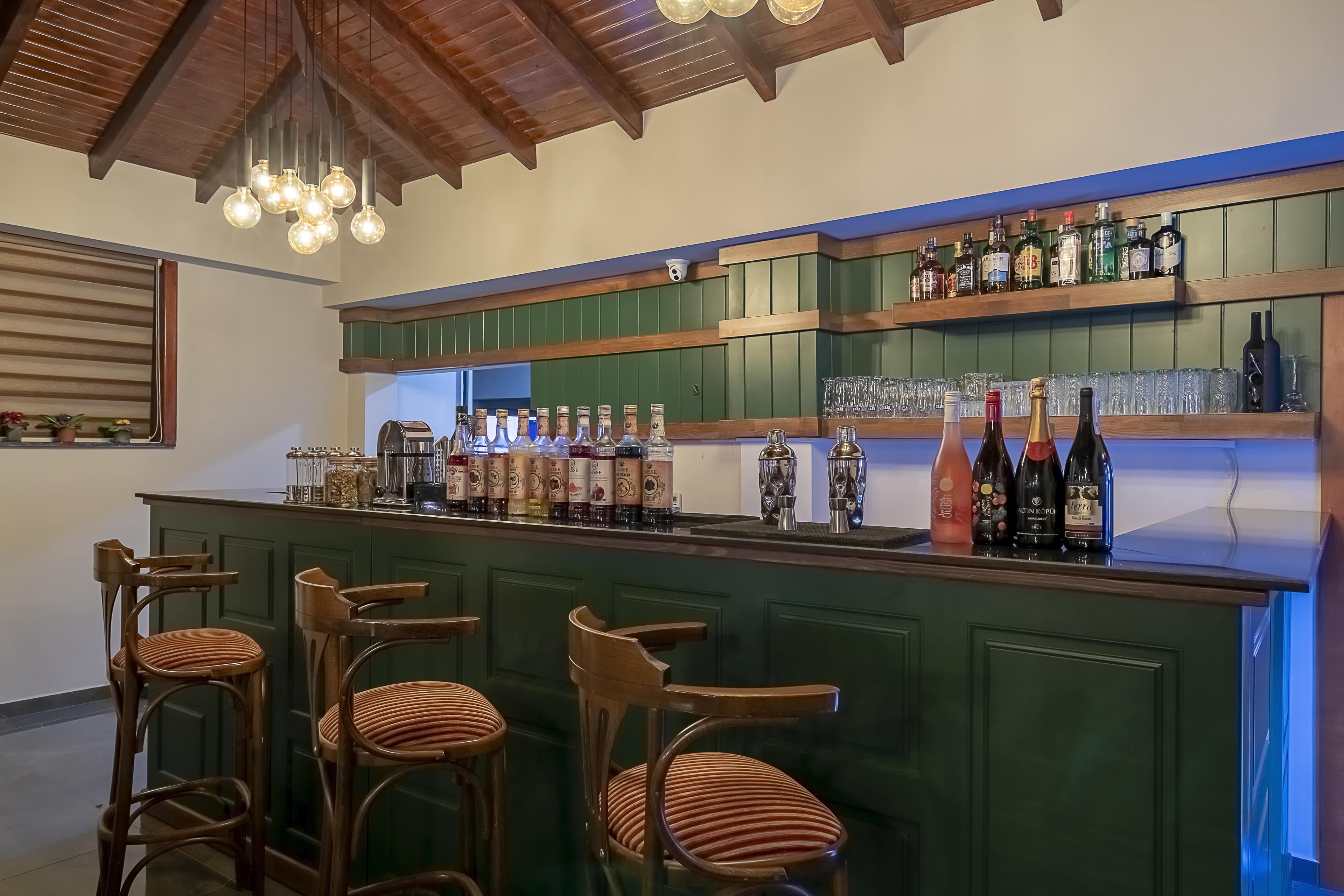 Erta Soyak Thermal Bursa-22