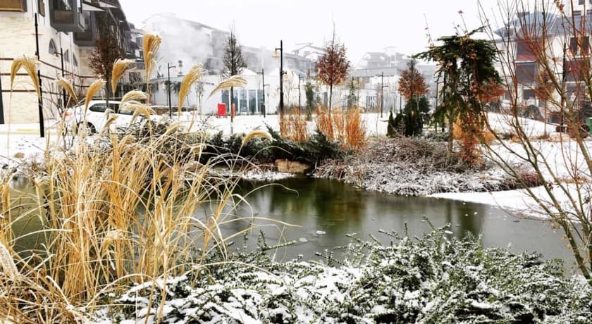 Narven Termal Kasaba-75