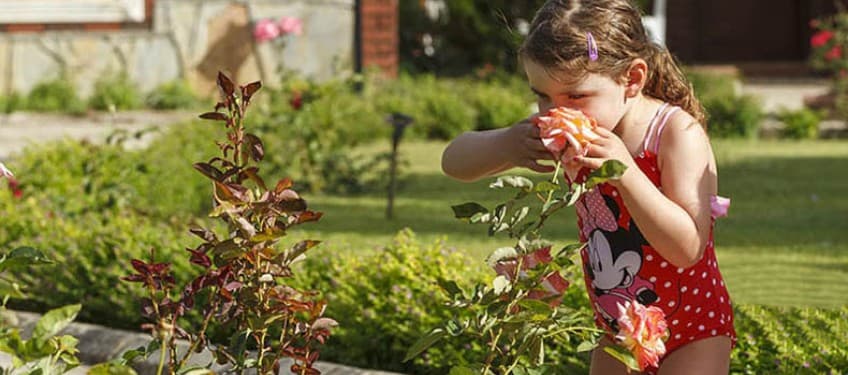 Bieno Venüs Hotel-47