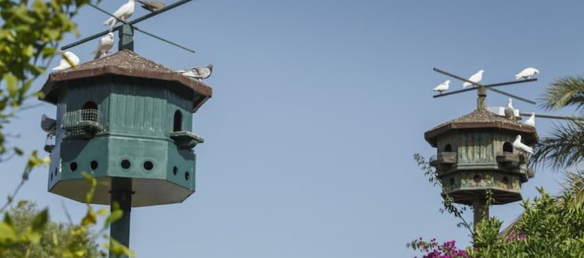 Bieno Venüs Hotel-22