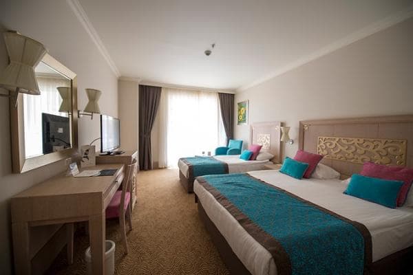 Kara Manzaralı Standart Oda 2