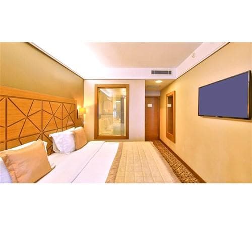 Standart Room King Bed  2