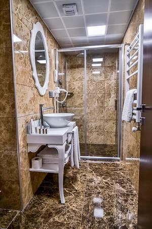 Standart Tek Geniş Yataklı Oda	 3