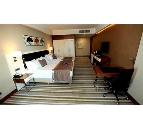 Family Room / Triple Room 2