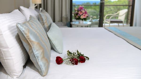 Family Room Forest 2