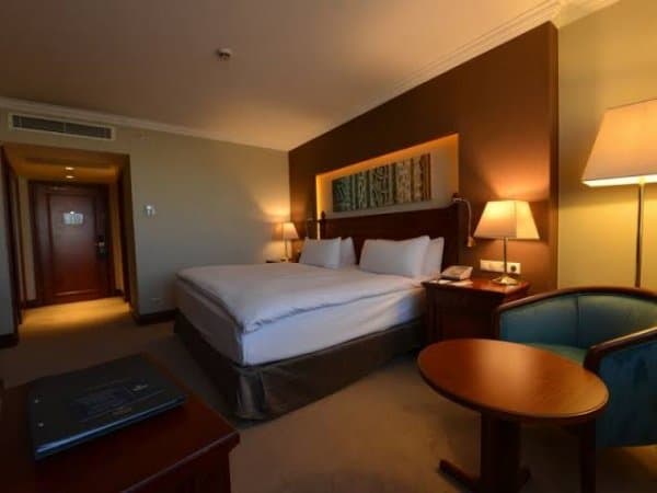 Executive Room - King 1