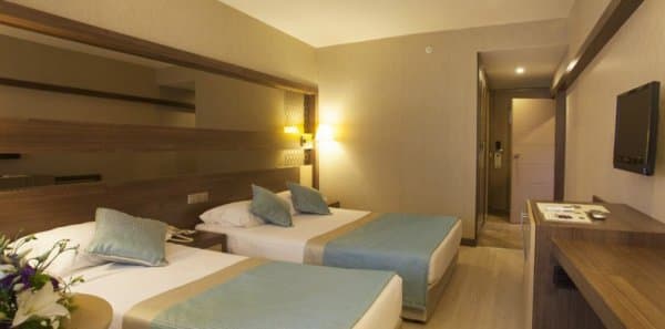 Premium Connection Oda  4