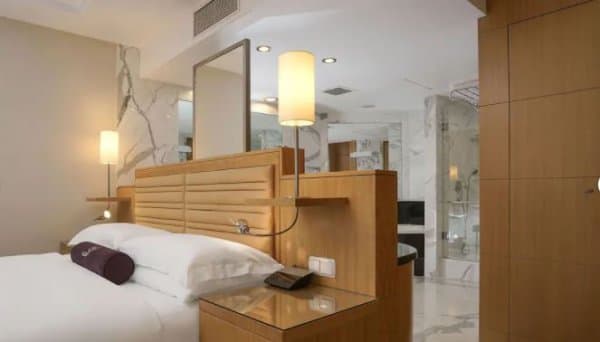 Deluxe Queen or Twin 3