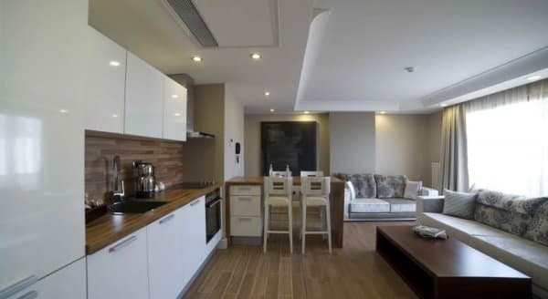 1 Bedroom Apartment With Kitchen BB 3