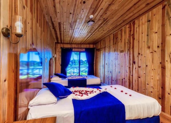 Standart Bungalow Oda  1