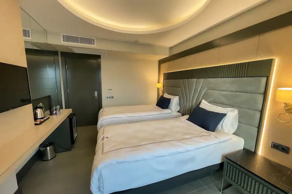 Twin Room, Şehir Manzaralı, Fransız Balkonlu 3