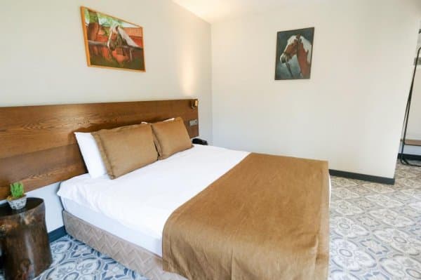 Standard Room with Balcony 2