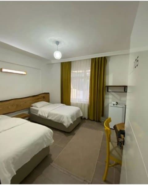 Standart İkiz Yataklı Oda 1