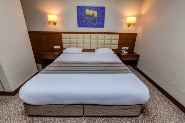 Orman Manzaralı Dubleks Oda 1