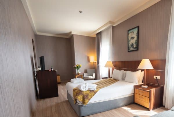 Standart French Room 1