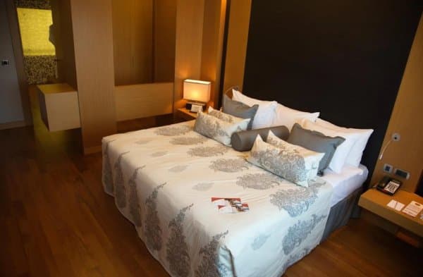 Kral Dairesi Şehir Manzaralı 1