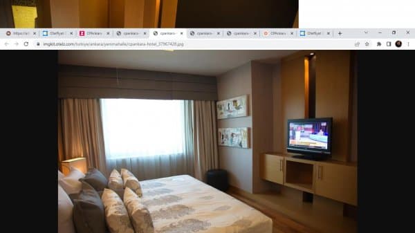 Kral Dairesi Şehir Manzaralı 2