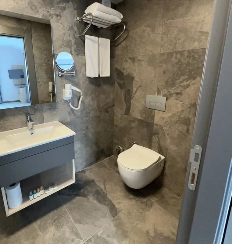 Deluxe French Room with Balcony 4