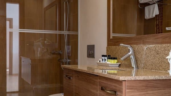 Kara Manzaralı Standart Oda  4