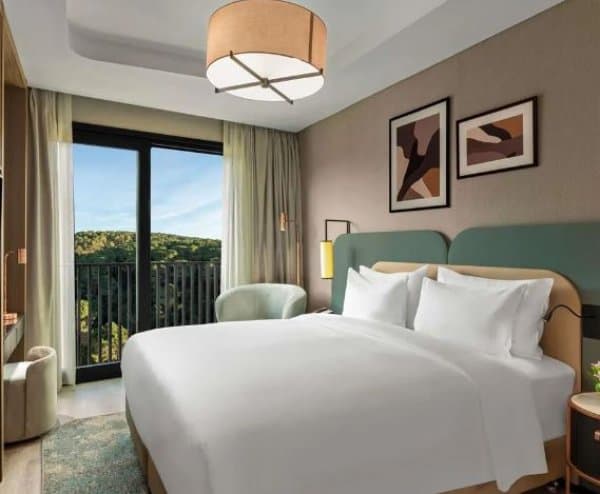 Deluxe Two Bedroom Suite with Terrace 2+1 1