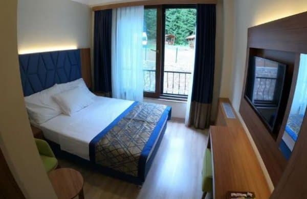 Çift Kişilik Orman Manzaralı Oda 2