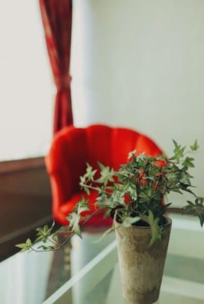 Geniş Standart Oda 4