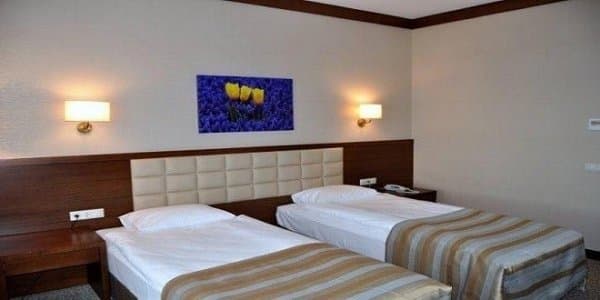 Orman Manzaralı Oda 2