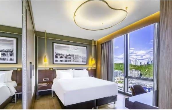 Collection Room City View 1