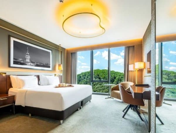 Collection Room Forest View 2