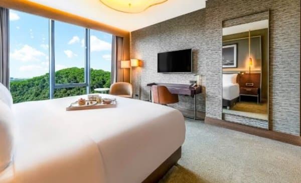 Collection Room Forest View 3