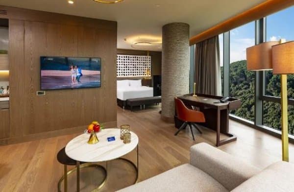 Junior Suite – City and Forest View 2