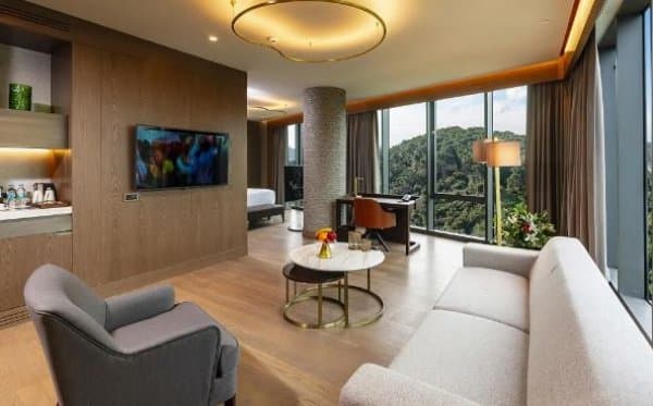 Junior Suite – City and Forest View 3