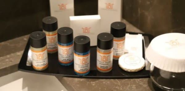 Standart Twin Yataklı Oda 4