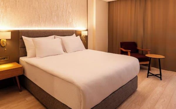 Standart French, Dağ veya Havuz Manzaralı 3