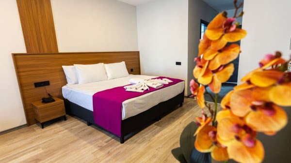 Deluxe Oda Şehir Manzaralı  3