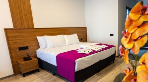 Deluxe Oda Şehir Manzaralı  1