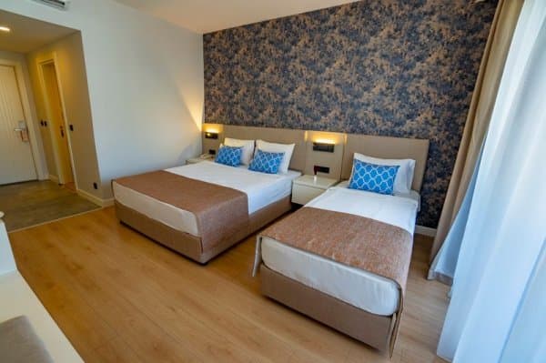 Standart Triple Oda 2