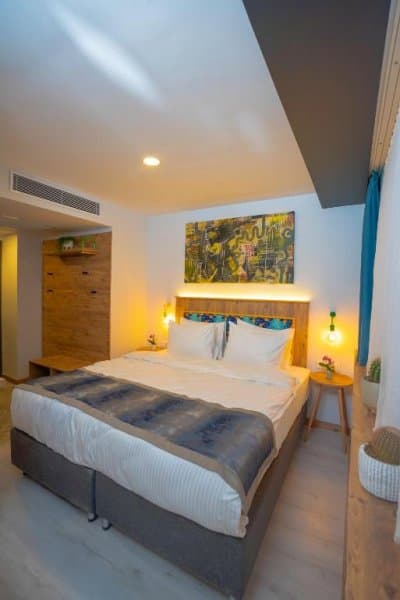 French Business Oda 1