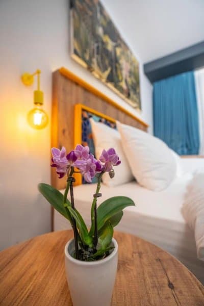 French Business Oda 3