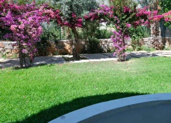 Bahçe Manzaralı Üst Kat 4